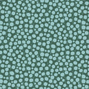 Eucalyptus Lafayette