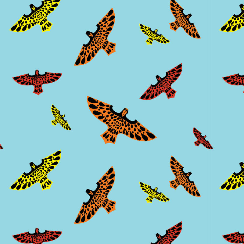 Falcon Kites