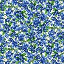 Blueberries Bush White