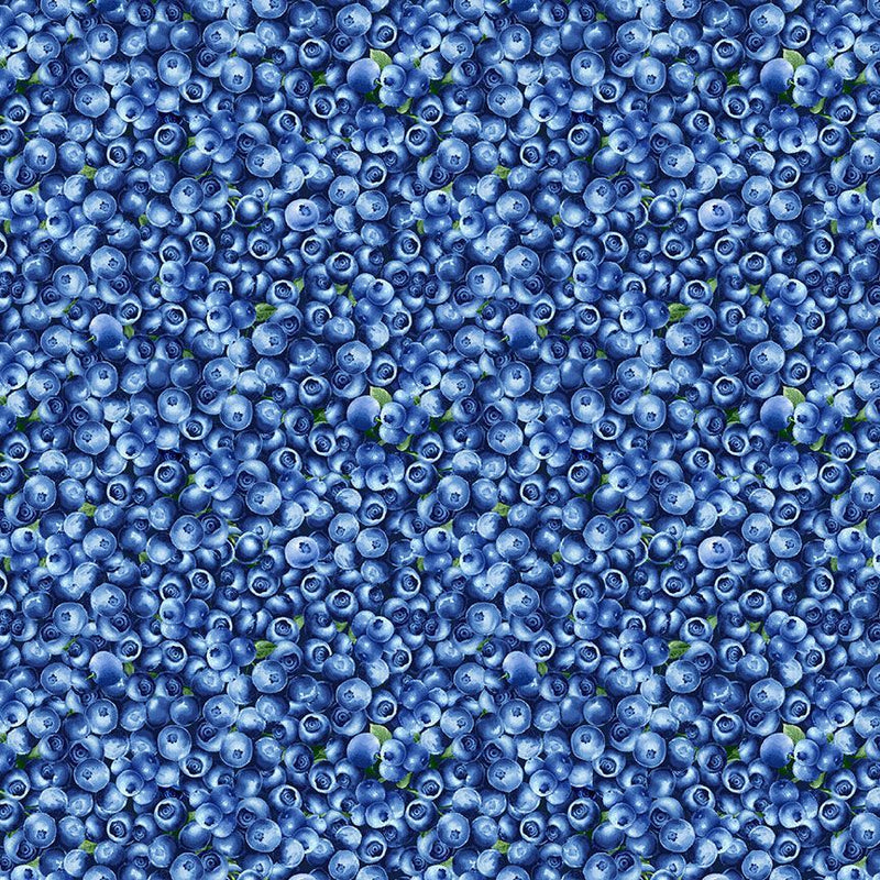 Packed Blueberries Blue