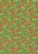 Nasturtiums Garden Green