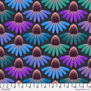 Echinacea Glow Amethyst