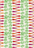 Rainbow Carrots Stripe Cream