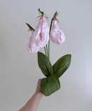 Workshop: Paper Lady Slippers with Amity Libby of Flower and Jane • Sarturday, June 13, 9:30-3:30