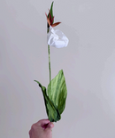 Workshop: Paper Lady Slippers with Amity Libby of Flower and Jane • Sarturday, June 13, 9:30-3:30