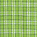 Cape Cod Seersuckers Lime