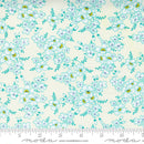 Morning Light 23342 11 Cloud