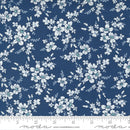 Morning Light 23342 15 Bluebird