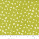 The Sea and Me 20798 17 Seaweed