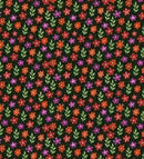 wild field ditzy flower black