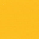 painters palette solid pencil yellow