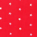 Observatory Spangled Rocket