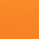 Painters Palette Solid Tangerine