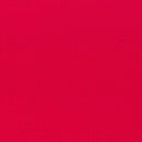 Painters Palette Solid Raspberry