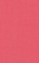 Painters Palette Solid Blush