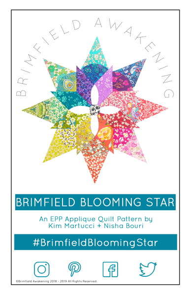 Brimfield Blooming Star Pattern