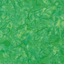 Prisma Dyes Palm Batik