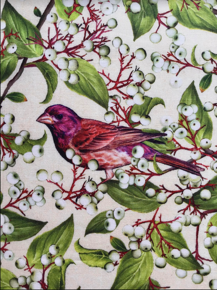 Birds and Berries of Maine Purple Finch and Grey Dogwood
