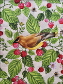 Birds and Berries of Maine Cedar Waxwing and Raspberry