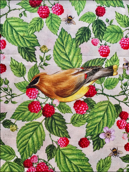 Birds and Berries of Maine Cedar Waxwing and Raspberry