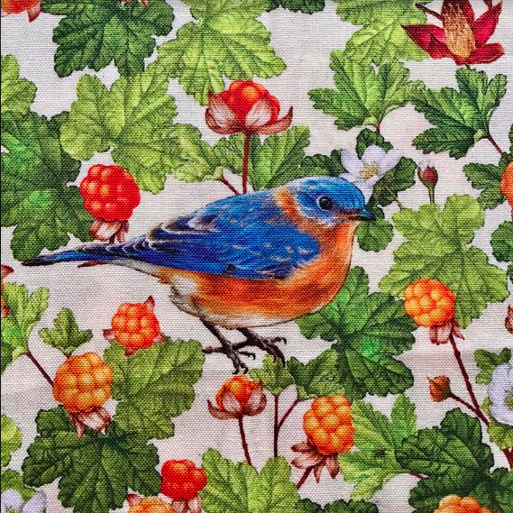 Birds and Berries of Maine Eastern Bluebird and Cloudberry