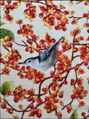 Birds and Berries of Maine Nuthatch and Bittersweet