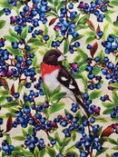 Birds and Berries of Maine Rose-Breasted Grosbeak and Blueberry