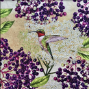 Birds and Berries of Maine Ruby-Throated Hummingbird and Elderberry