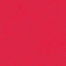 Sun Print 2020 Stitched Poppy