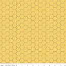 Honey Bee Honeycomb Daisy