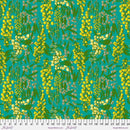 Welcome Home Adelaide Seaweed