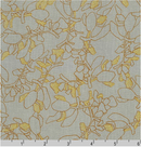 Collection CF AFRM 19928 383 Shitake