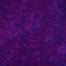 Cornucopia Amritsar Batik